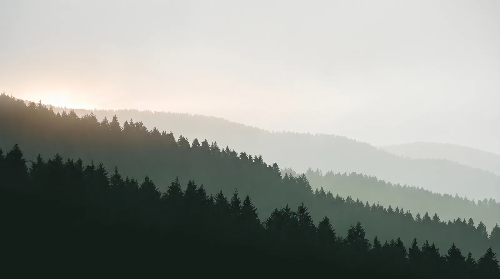 Forest Mac desktop